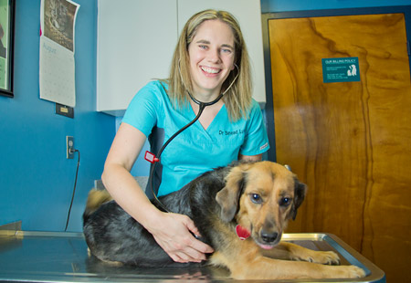 veterinary hospital, northside richmond