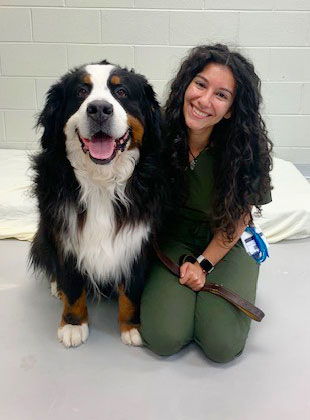 veterinarian, northside richmond