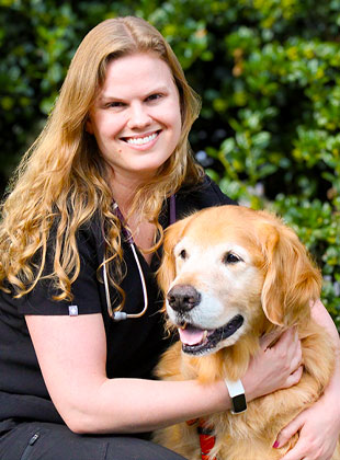 veterinarian, northside richmond