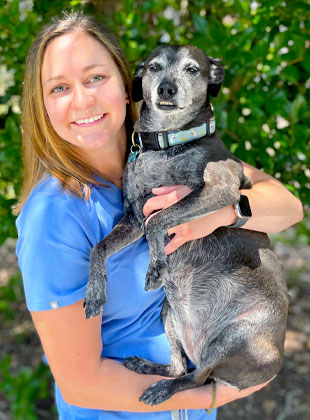 veterinarian, northside richmond